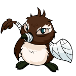 Brown Pteri