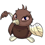 Brown Pteri
