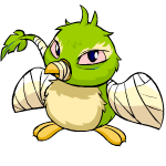 Green Pteri
