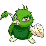 Green Pteri