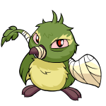 Green Pteri