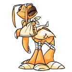 Orange Ruki