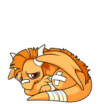 Orange Tatsu