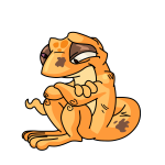 Orange Techo