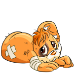 Orange Tuskaninny
