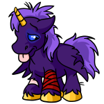 Purple Uni