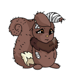Brown Usul