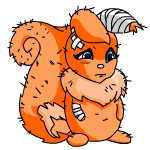 Orange Usul