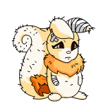 Orange Usul