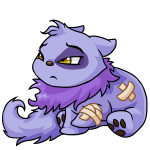 Purple Wocky