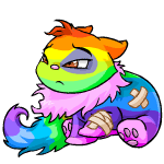 Rainbow Wocky