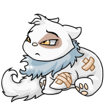 White Wocky