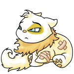 White Wocky