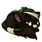Brown Xweetok