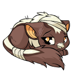 Brown Xweetok