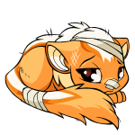 Orange Xweetok