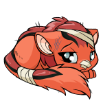 Orange Xweetok