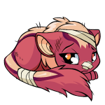 Pink Xweetok