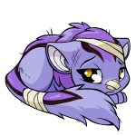 Purple Xweetok