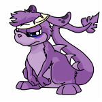 Purple Zafara