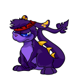 Purple Zafara