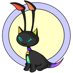 Rainbow Aisha