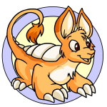 Orange Bori
