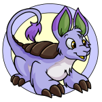 Purple Bori