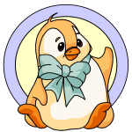 Orange Bruce