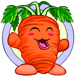 Carrot Chia