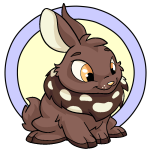 Brown Cybunny