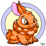 Orange Cybunny