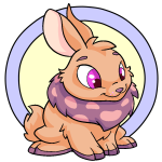 Orange Cybunny