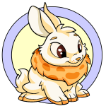 Orange Cybunny