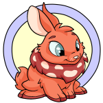 Orange Cybunny