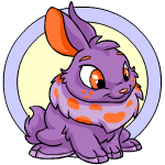 Purple Cybunny