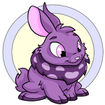 Purple Cybunny