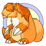 Orange Dirego