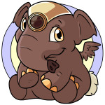 Brown Elephante
