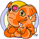 Orange Elephante
