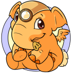 Orange Elephante