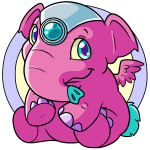 Pink Elephante