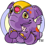 Purple Elephante