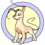 Cream Gelert