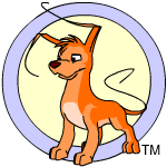 Orange Gelert