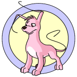 Pink Gelert