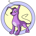 Purple Gelert