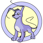 Purple Gelert