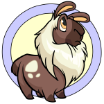 Brown Gnorbu