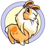Orange Gnorbu